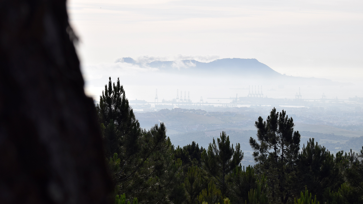 Jardín con césped artificial en Santa Margarita, La Línea de la Concepción