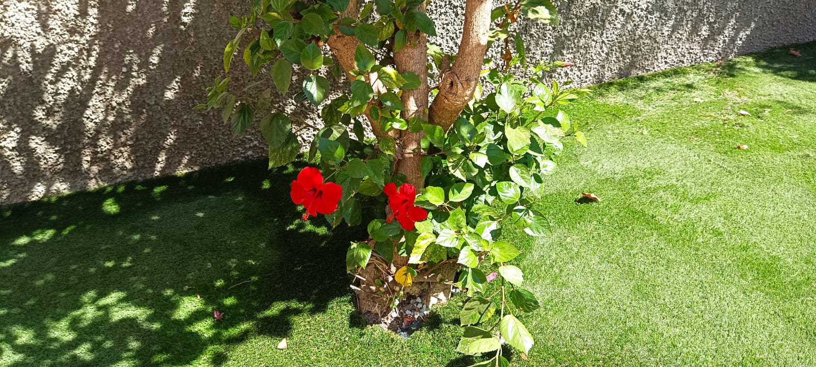 Césped artificial en jardín con vistas al mar en La Alcaidesa, San Roque